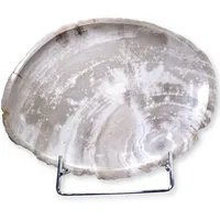 StoneTrip Mineralstein LD7903, (Unikat, 1-St), Versteinertes Holz braun