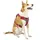 Kurgo Journey Air Hundegeschirr,