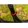 oak components Sattelklemme Orbit 34,9 mm Rot