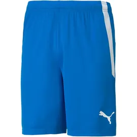 Puma teamLIGA Shorts Herren 02 electric blue lemonade/white 3XL
