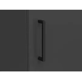 Carryhome Mehrzweckschrank MULTISTAURAUM