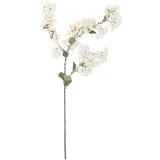 Bloomingville Myrtle in Weiß Ø H100 cm