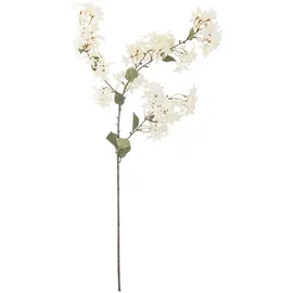 Bloomingville Myrtle in Weiß Ø H100 cm