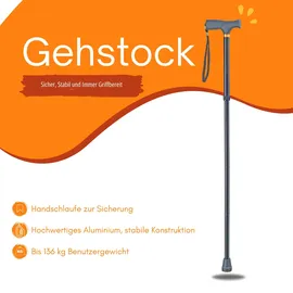 Bischoff & Bischoff Gehstock faltbar Klappstock schwarz