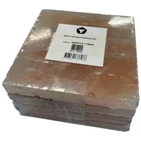 DRY AGER Salzblock Saltair Himalaya für DX 1000