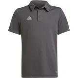 Adidas Unisex ENT22 Y Polo Shirt, Team Grey Four, 176