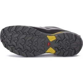 Salomon X Ultra 360 GTX Herren Castlerock/Black/Spicy Mustard 42