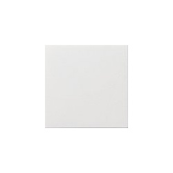 Blindabdeckung mit Tragring (reinweiß, glänzend)