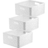 Rotho Country 3er-Set Aufbewahrungsbox Rattan-Optik, Kunststoff (PP) BPA-frei, Weiss, 14l, (32,8 x 30 x 16 cm)