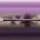 mortuum violett