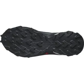 Salomon Supercross 4 GTX Herren Grisaille/White/Carbon 46 2/3