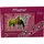 Axisis Kinderpflaster Traumpferdchen Pflaster rot 10 St.