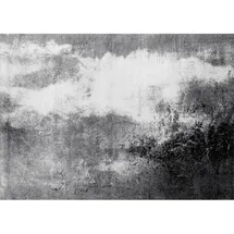 Wash+Dry Aura 170 x 240 cm Grau