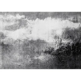 Wash+Dry Aura 170 x 240 cm Grau