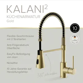 Lenz Kalani2 Küchenarmatur Gold