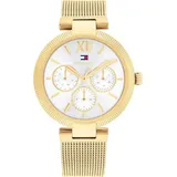Tommy Hilfiger - 36 mm)
