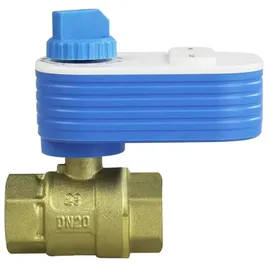 PNI SV160 Intelligentes Wasserventil 1 St. Blau/Weiß