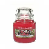 Yankee Candle Red Raspberry