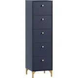 Schildmeyer Alfa 40,1 x 142 x 40 cm Blau