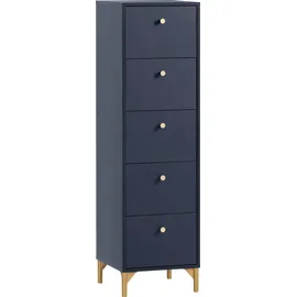 Schildmeyer Alfa 40,1 x 142 x 40 cm Blau