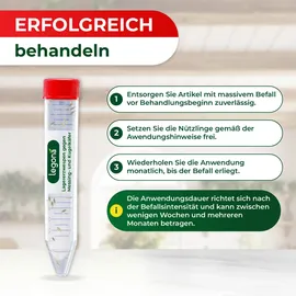 LEGO Lagererzwespen gegen Kugelkäfer & Messingkäfer 1 Röhrchen (10 m2)