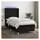 vidaXL Boxspringbett 100 x 200 cm Schwarz