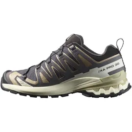 Salomon XA Pro 3D V9 GTX Schuhe (Größe 41 - grau)