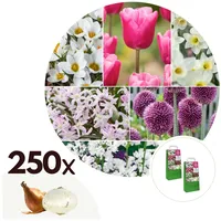 Plant in a Box - Blumenzwiebelmischung - 125 Stk