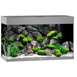 JUWEL AQUARIUM Rio LED 125 l Grau