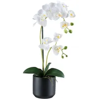 Creativ green Kunstorchidee »Orchidee Phalaenopsis« mit Keramiktopf in matter