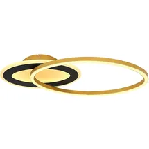 GLOBO lighting LED-Deckenleuchte in Gold - (B)53 x (H)7 x (T)23,5 cm | Gr.: onesize