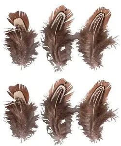 Rayher Federn braun 6 St.