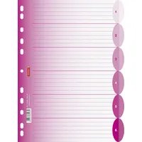 Brunnen 106659426 Ringbuchregister Colour Code (für Ordner und Ringbücher,