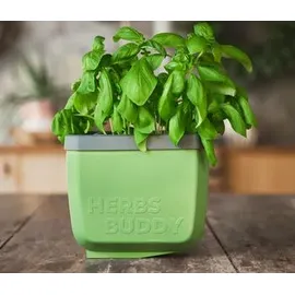 Gusta Garden Herbs Buddy 15,3 x 14,8 x 14 cm Dunkelgrün Komplettset