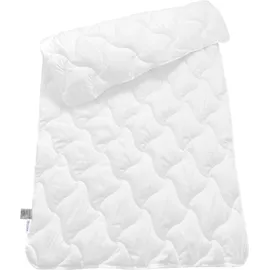 SCHIESSER Microfaserbettdecke »Hygge leichte Ganzjahressteppdecke mit flauschiger Füllung« normal 1 Stk. tlg. STANDARD 100 by OEKO-TEX® zertifiziert weiß
