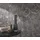 Fashion for walls Vliestapete Shine 0,53 x 10,00 m grau 10373-47