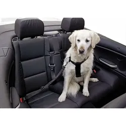 KERBL Sicherheitsgurt für Hunde, verstellbar, 30-60 cm