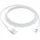 Apple Lightning USB Cable 1m