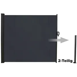 LINDER EXCLUSIV Seitenmarkise 300 x 160 cm Schwarz Metall