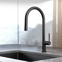 Hansgrohe LivaFine Küchenarmatur, ausziehbar, schwenkbar, 72862670,