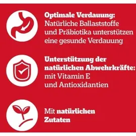 PEDIGREE Gemischte Selektion in Gelee 40 x 100 g