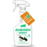 Silberkraft Ameisenspray 500 ml, zuverlässig Ameisen bekämpfen, Anti- Ameisenmittel, Sofort- und Langzeitwirkung, wirksame Alternative zu Ameisengift & Ameisenköder