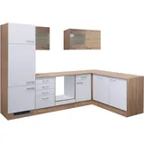 Flex-Well Winkelküche L-Form 280 x 170 cm Weiß