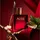 HUGO BOSS Boss Alive Absolu Intense Eau de Parfum 50 ml