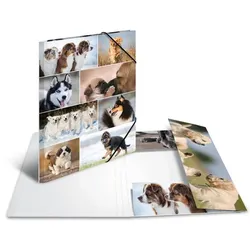 Herma Sammelmappe A3 Hunde Material Karton 4008705908443 Herma 3 Stück