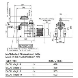 Speck Pumpen Magic II Poolpumpe 6