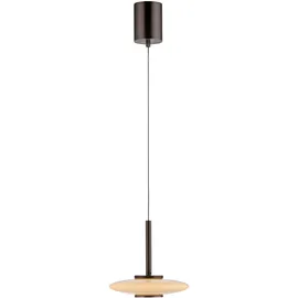 Paul Neuhaus PURE Vitrum 1-flg. höhenverstellbar 60 cm dunkelbraun
