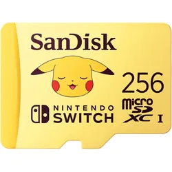 SanDisk Flash-Speicherkarte - 256 GB - Video Class V30 / UHS-I U3