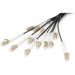 Digitus Vorkonfektionierte Glasfaser Universal Breakout Kabel, Multimode OM4, 12 Fasern, LC/UPC – LC/UPC (LSOH, 100 m), Netzwerkkabel