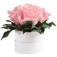 ROSEMARIE SCHULZ Heidelberg Infinity Rosenbox weiß rund konservierte Blumen